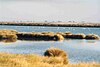 Wetlands in the Doñana National Park, 1999