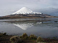 Parinacota and Chungará lake