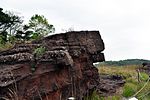 Stätten versteinerter Dinosaurier an der Südküste