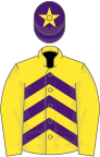 Yellow and purple chevrons, yellow sleeves, purple cap, yellow star