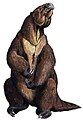 Megatherium iz pleistocena (Južna Amerika).