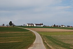 Obersteckholz