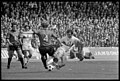 Finale de la Coupe de France de football Rennes Lyon - Musée de Bretagne