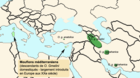 Aire de répartition du Mouflon méditerranéen