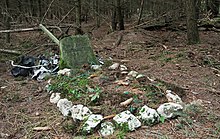 gedenkstein-flugzeugunglueck-laufenselden.