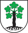 Coat of arms of Trun