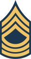 Distintivo di grado di master sergeant dello U.S. Army, indossato sulle maniche.