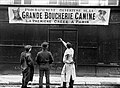 フランスの首都パリ市内における犬肉店（1910年）[61]