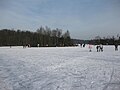 Schaatsen op de Leersumse Plassen