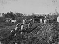 Fieldworkers with an ox cart and steam plow