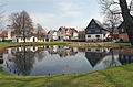 Dorfteich im Anger von Hönbach (Thüringen)