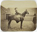 L'exploratrice et photographe Alexine Tinne à cheval, photographie, tirage à l'albumine sur carton, 1860-1861.