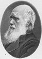 Charles Darwin.