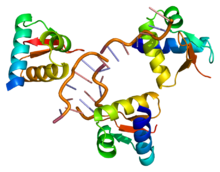 ADAR Protein.