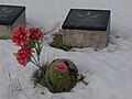 Grave with helmet and flowers