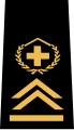 Distintivo di grado attuale