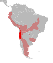 Distribución geográfica de Leopardus colocolo. En rojo la zona de distribución de la que podría ser especie endémica de Chile. Más claro, la distribución de la especie tomada en sentido amplio, según IUCN[2]​