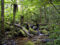 Masoala National Park