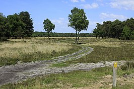 Het Leersumse Veld in 2013