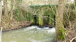 Le Péruseau aux Bonnins.