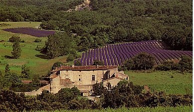 Ferme fortifiée ou château d'Alançon.