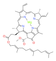 Bactériochlorophylle g