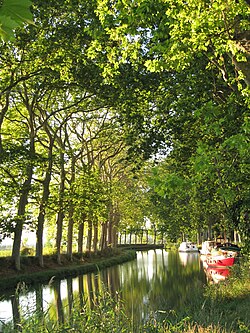 Image illustrative de l’article Canal du Midi