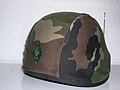 Spectra helmet, from the back, with the insignia of the French Foreign Legion