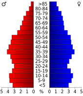 Bevolkingspiramide Stanly County