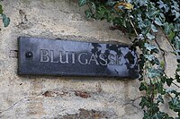 The soldiers bayoneted in their tents. Blood ran through the gutters in streams. Today, the alleyway is called Blutgasse.