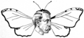 Cartoon of George C. Brownell as the "Pretty Moth" of Oregon politics *** Photo shown on Main Page DYK Section 15 Jan 24