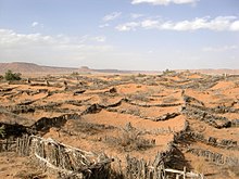 Tanques, barrera contra la desertització