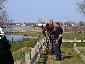 Baie-du-Febvre