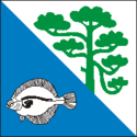 Vlag van de gemeente Nõva