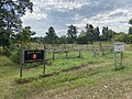 Community Garden