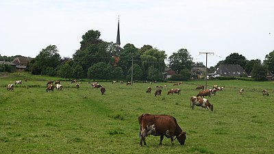 Kerk (2007)