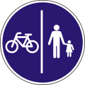 D-031 Shared pedestrian and cycle path (with separation)