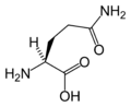 L-Glutamina (Gln / Q)