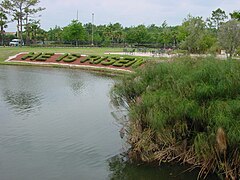 Lac au centre du parc