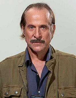 Peter Stormare in 2015