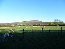 bracken-covered hill in the background with trees and fields in the foreground