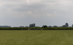 Bunker van het voormalig vliegveld te Gontrode