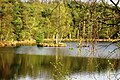 Frühling am Birkensee