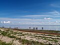 Het strand van Kesselaid. Het water is hier zo zoet dat het vee het kan drinken