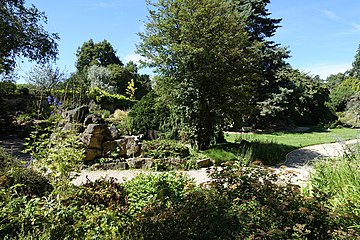 In the Alpine Garden