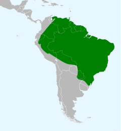 Distribuição do curió na América Latina