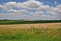 Vue sur la campagne.