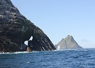 Koloni av havsuler på Little Skellig