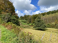 Abwechslungsreiches Landschaftsmosaik im nördlichen Teil des NSG Kalsbachtal