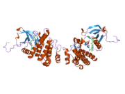 2e2b: Crystal structure of the c-Abl kinase domain in complex with INNO-406